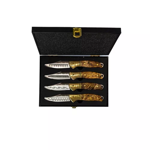 Steak knife set Homey's Schiffmacher 4-piece