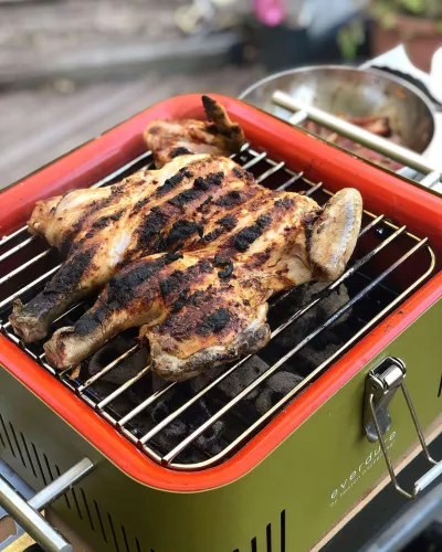 Everlasting Everdure Cube Charcoal Barbecue Green / Khaki (HBCUBEKEU)