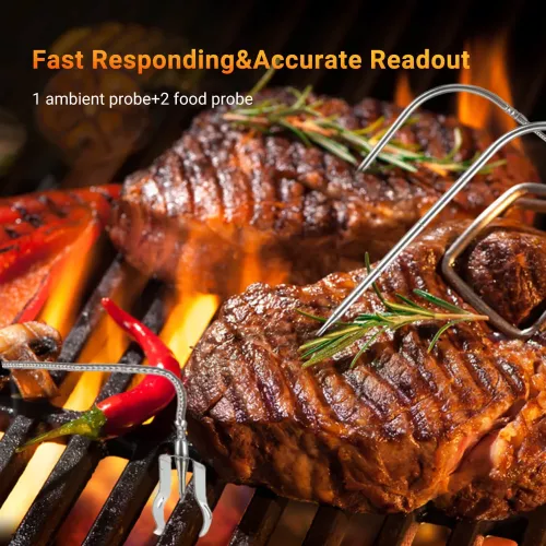 Inkbird BBQ Thermometer Inkbird BBQ Temperature Controller ISC-007BW with App (ISC-007BW)