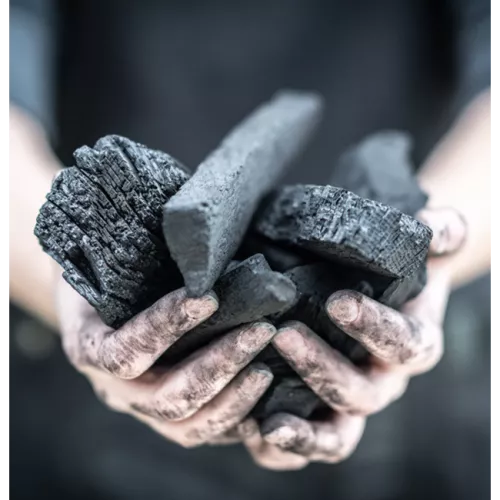 Big Green Egg Big Green Egg charcoal beech and birch 9 kg (BGE-666281)