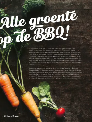 Kosmos Flame in the plant Vega(n) recipes for the BBQ (11873)