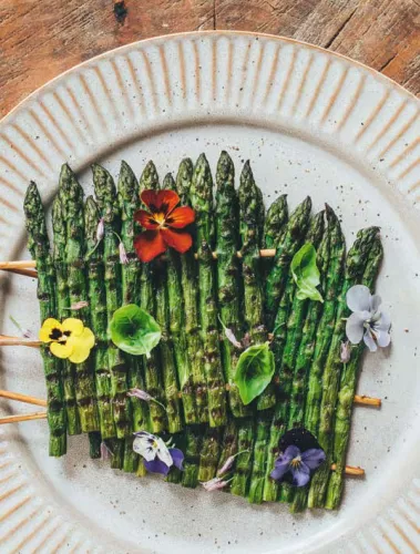 Kosmos Flame in the plant Vega(n) recipes for the BBQ (11873)