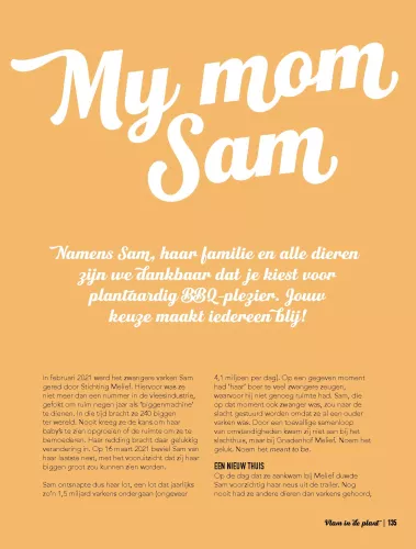 Kosmos Flame in the plant Vega(n) recipes for the BBQ (11873)