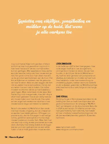 Kosmos Flame in the plant Vega(n) recipes for the BBQ (11873)