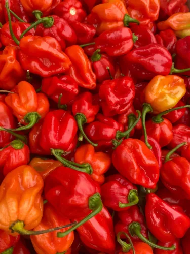 Tomasu Soy Sauce Tomasu Sambal (11879)