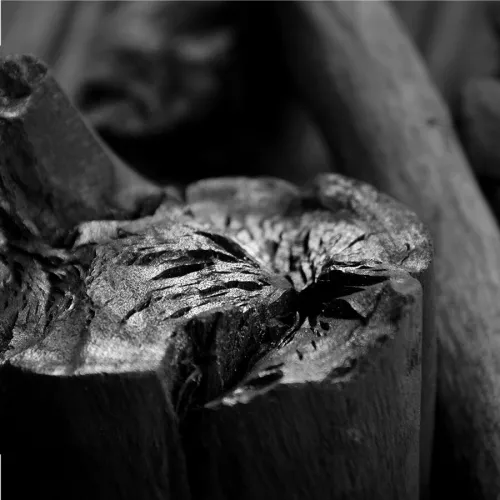 BBQ Flavor BBQ Flavour Binchotan White Eucalyptus 5kg (100202)