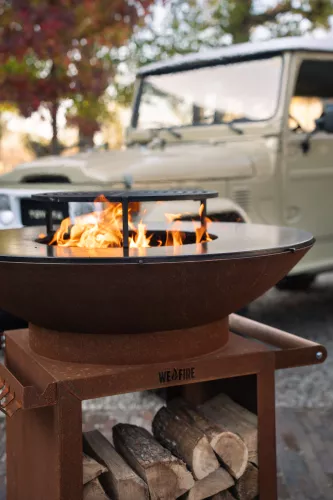 WeFire WeFire Rooster Normal (WeFire Rooster Normal)