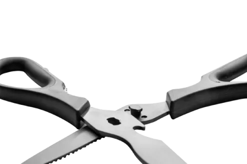 Traeger Traeger BBQ Scissors (BAC535)